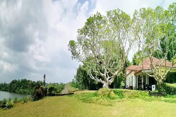 جزیره دارچین سریلانکا جزیره دارچین سریلانکا